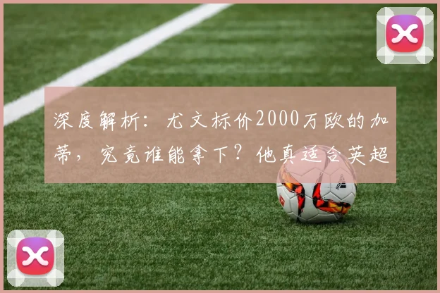 深度解析:尤文标价2000万欧的加蒂,究竟谁能拿下?他真适合英超吗?